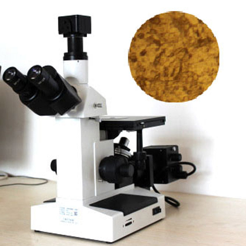 Trinocular Inverted Metallurgical Microscope Model FCM2000W